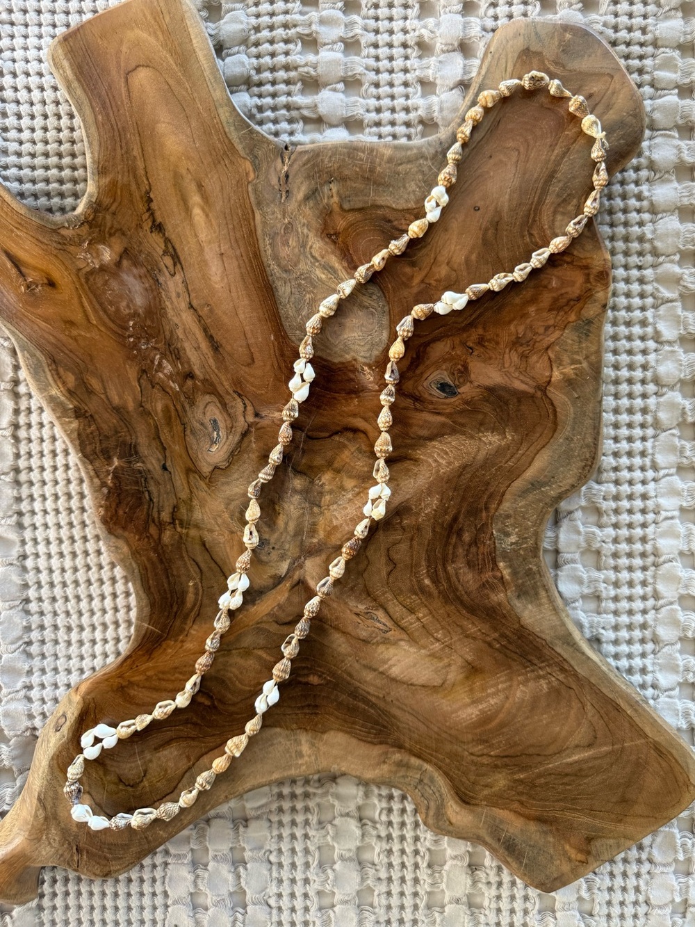 Coastal Boho Natural Shell Long Necklace Beach Resort Jewelry